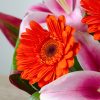 Arreglo floral exótico Amor Real - Imagen 4