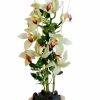 Orquídeas Parafina - Imagen 3